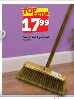 Topaz Szczotka z kijem Gold oferta