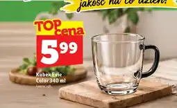 Topaz Kubek Evie Color oferta