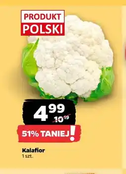 Netto Kalafior oferta
