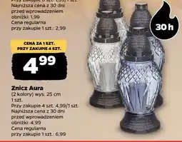 Netto Znicz Aura oferta