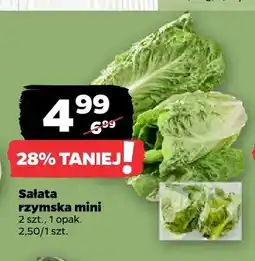 Netto Sałata rzymska mini oferta