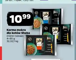Netto Karma mokra dla kotów 4-pak Sheba oferta