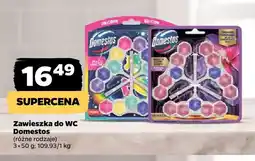 Netto Zawieszka do WC Domestos oferta
