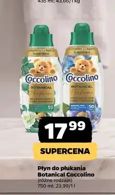 Netto Płyn do płukania Botanical Coccolino oferta