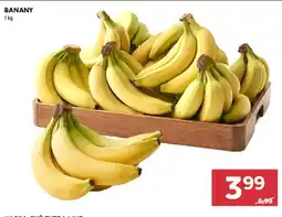 Stokrotka Banany oferta