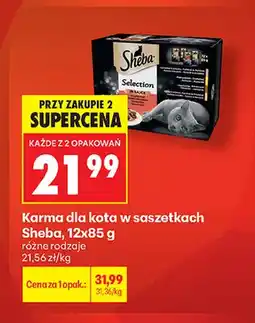 Biedronka Karma dla kota w saszetkach Sheba 12-pak oferta