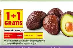 Biedronka Awokado Hass oferta