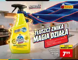 Biedronka Odtłuszczacz uniwersalny Mr Magic oferta