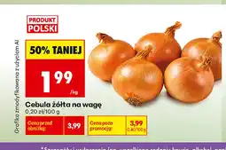 Biedronka Cebula żółta oferta