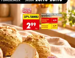 Biedronka Seler korzeń oferta