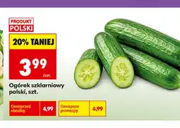 Biedronka Ogórki szklarniowe polskie oferta