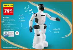 Biedronka Robot humanoidalny oferta
