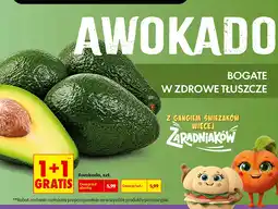 Biedronka Awokado, szt oferta