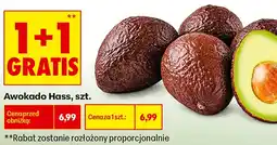 Biedronka Awokado Hass oferta
