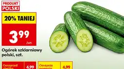 Biedronka Ogórek szklarniowy polski oferta