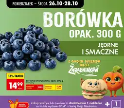 Biedronka Borówka amerykańska, opak oferta