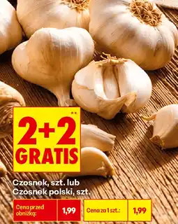 Biedronka Czosnek, szt. lub Czosnek polski, szt oferta
