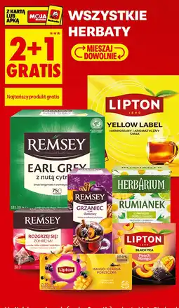 Biedronka Wszystkie herbaty oferta