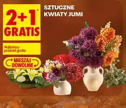 Biedronka Sztuczne kwiaty Jumi oferta