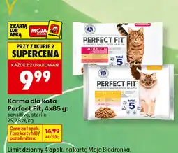 Biedronka Karma dla kota Perfect Fit oferta