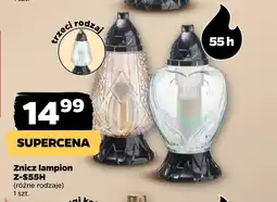 Netto Znicz oferta
