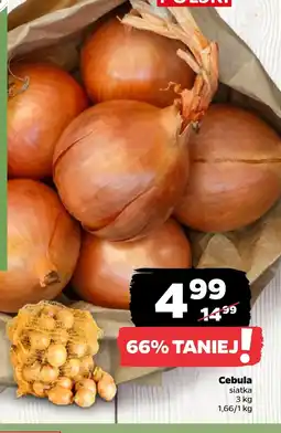 Netto Cebula oferta