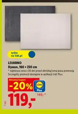 Lidl Dywan 160x230 cm Livarno oferta