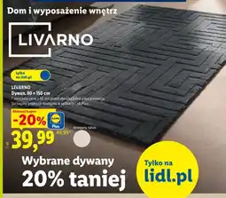 Lidl Dywan 80x150 cm Livarno oferta