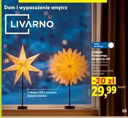 Lidl Płatek śniegu LED Livarno oferta