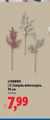 Lidl Gałązka dekoracyjna 70 cm Livarno oferta