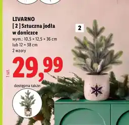 Lidl Sztuczna jodła w doniczce Livarno oferta