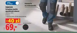 Lidl Ocieplane męskie ogrodniczki robocze Parkside oferta