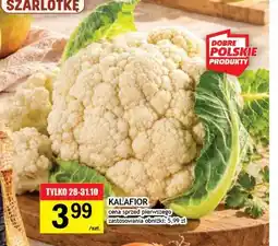 Gram Market Kalafior oferta
