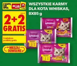 Biedronka Karmy dla kota Whiskas oferta