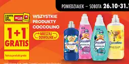 Biedronka Wszystkie produkty coccolino oferta