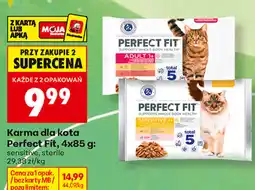 Biedronka Karma dla kota Perfect Fit oferta