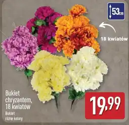 ALDI Bukiet chryzantem oferta