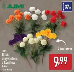 ALDI Bukiet chryzantem oferta