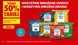 Biedronka Mroźna Kraina Borówki oferta