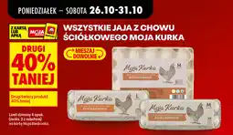 Biedronka Jaja z chowu ściółkowego Moja Kurka oferta