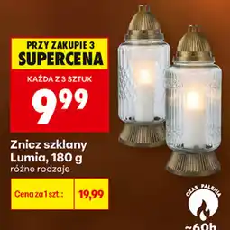 Biedronka Znicz szklany Lumia oferta