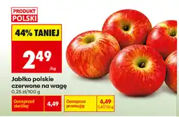 Biedronka Jabłko polskie czerwone oferta