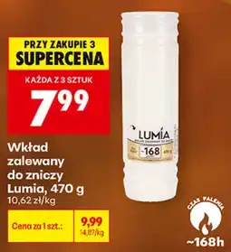 Biedronka Wkład zalewany do zniczy Lumia oferta