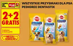 Biedronka Przysmaki dla psa Pedigree Dentastix oferta