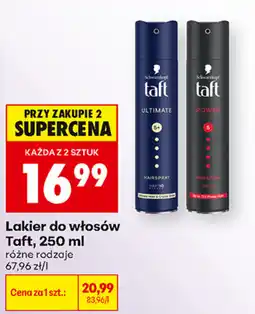 Biedronka Lakier do włosów Taft oferta