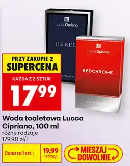 Biedronka Woda toaletowa Lucca Cipriano oferta
