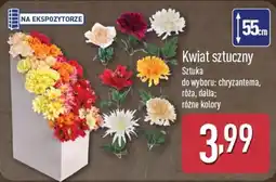 ALDI Kwiat sztuczny oferta
