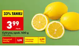 Biedronka Cytryna oferta