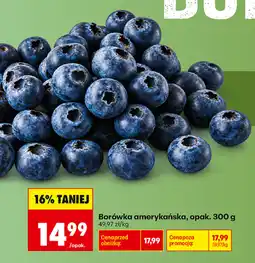 Biedronka Borówka amerykańska oferta