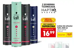 Biedronka Lakier do włosów Taft oferta